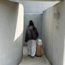 [대부도 여행] 독채 감성 숙소 기노읍 대추천