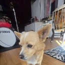 아지아지트 이미지