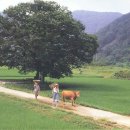 무주읍134 이미지