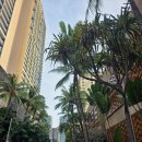 상상카프라자 | 하와이 오아후 호텔 추천: 아이와 와이키키 도보 여행 '엠버시 스위트 바이 힐튼' 3박 후기