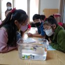 선소경로당 네이버블로그