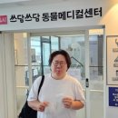 24시 쓰담쓰담 동물메디컬센터 이미지