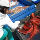 한뚝배기 이미지