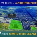 배곧