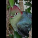 아리스타공인중개사사무소 이미지