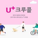 빠른바로콜 이미지