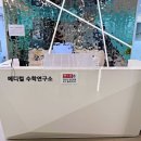 메디컬수학연구소학원