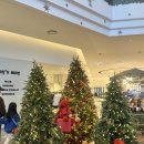 세화빌딩(세화오피스텔상가) | [가장 개인적인 기록]_범일동 나들이/웨딩밴드 투어💍(아크레도, 세화보석)_견적가공유