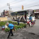 월야5일시장 이미지