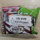 ICC 프로젝트 기록