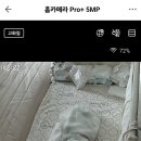꿀잠:실