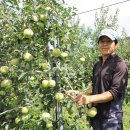 청송한우농장 이미지