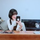 바비닌 이미지
