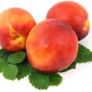 다정한이웃 이미지