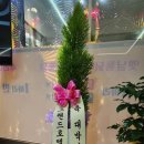 승진농장 | 전주 완주 개업 화분 배달, 노을통닭 대박 기원! (반석꽃농장 직접 배달 후기)