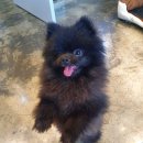 감성그루밍 이미지