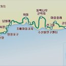 제주 올레길 5코스 이미지