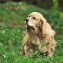 이건농장 이미지