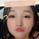 영양핑다이어트