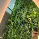 힐링사우나휘트니스 이미지