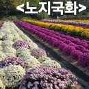 뱃머리