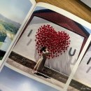 3 | 코닥 포토프린터 미니3 사용 후기(내돈내산) + 장단점, 미니2 비교, 화질 등