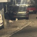 방배로 131 이미지