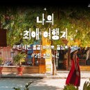 TEAM Y 골프 트레벌데일리