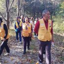 힐링캠프 이미지