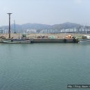 크레이지독 - 포천시 송우로 76 | 크레이지독