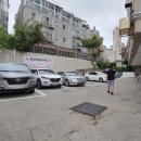 젊은열대어