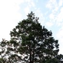 낙성초등학교 이미지