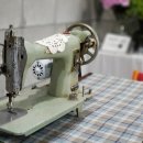 봄봄살롱 이미지