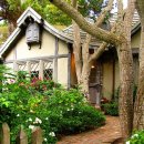 자연속의 집 이미지