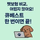 베스트 큐 | 펫보험 큐베스트, 솔직 후기와 활용법