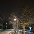 (주)명문정비 | [웁대생이 되다] 0310~0316 여덟째주 1탄 _ (스웨덴초등학교견학/자전거수리/스웨덴일상)