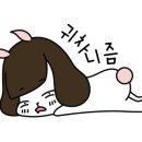 닥터호오동물병원 네이버블로그