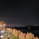 세광상회 - 삼척시 새천년도로 65 | 세광상회