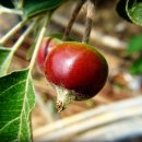 예슬이네 이미지