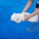 무창포 히든빌리지 이미지