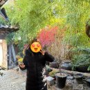 구월초등학교 | 안국역 정갈한 한정식 맛집 뉘조 후기 | 종로 상견례 추천 블루리본 식당 | 인사동 한정식 코스 추천