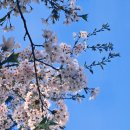 성은비료 이미지