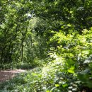 박달나무쉼터 옆 이미지