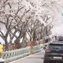 남해-183 이미지