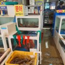 선영2호 이미지