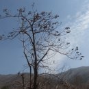 병암민박 이미지