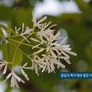 이팝인테리어