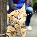 정성식품 이미지