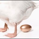 카카오독 이미지