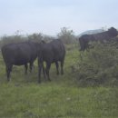 초야농장 이미지